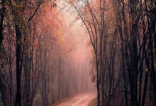 利比亚队晋级，实力不容忽视