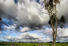 曼城取得主场胜利，继续领跑英超