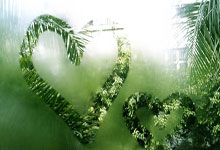 北马其顿选手在国际足球赛事中大获胜利