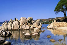 利比亚队晋级，实力不容忽视